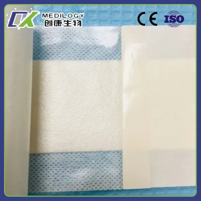 15X15cmmedical Disposable Sterile Self-Adhesive Non Woven Alginate Wound Dressing