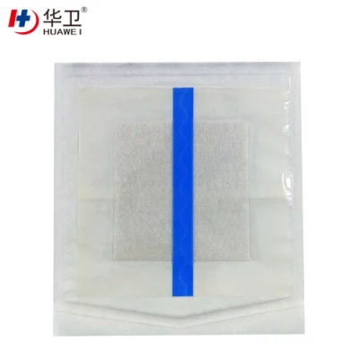 Free Sample Silver Alginate Wound Dressings with Ce and FDA Certificate